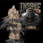 Семена конопли Insane OG от Barney's Farm